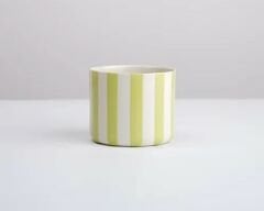 Striped Midi-Beyaz/Fıstık Yeşili